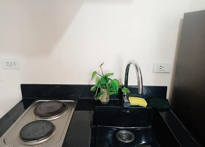 Unit For Rent In Mabolo Apartment